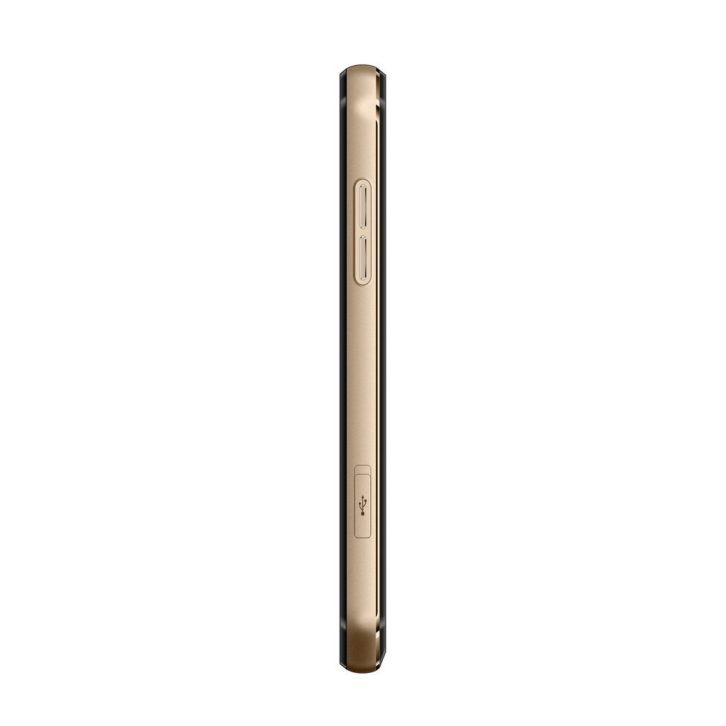 Doogee S30, Gold цена и информация | Mobilieji telefonai | pigu.lt