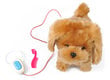 Interaktyvus šuniukas su pavadėliu Kruzzel цена и информация | Minkšti (pliušiniai) žaislai | pigu.lt