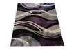 Kilimas Fantazija 02 Grey/violet, 80x150 cm kaina ir informacija | Kilimai | pigu.lt