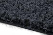 Kilimas Shaggy Anthracite, 160x220 cm kaina ir informacija | Kilimai | pigu.lt