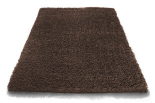 Kilimas Shaggy Brown, 60x100 cm kaina ir informacija | Kilimai | pigu.lt