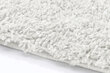 Kilimas Shaggy White, 160x220 cm kaina ir informacija | Kilimai | pigu.lt