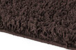 Kilimas Shaggy Brown, 120x170 cm kaina ir informacija | Kilimai | pigu.lt