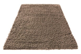 Kilimas Shaggy Cappuccino, 120x170 cm kaina ir informacija | Kilimai | pigu.lt