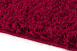 Kilimas Shaggy Red, 200x290 cm kaina ir informacija | Kilimai | pigu.lt