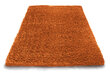 Kilimas Shaggy Orange, 60x100 cm kaina ir informacija | Kilimai | pigu.lt