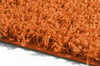 Kilimas Shaggy Orange, 60x100 cm kaina ir informacija | Kilimai | pigu.lt