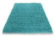 Kilimas Shaggy Turquoise, 60x100 cm kaina ir informacija | Kilimai | pigu.lt