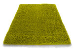 Kilimas Shaggy Green, 60x100 cm