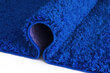 Kilimas Shaggy Cobalt Blue, 160x220 cm kaina ir informacija | Kilimai | pigu.lt