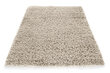 Kilimas Shaggy Latte, 80x150 cm kaina ir informacija | Kilimai | pigu.lt