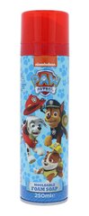 Детская пена для душа Nickelodeon Paw Patrol Mouldable Foam Soap, 250 мл цена и информация | Paw Patrol Духи, косметика | pigu.lt