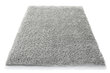 Kilimas Shaggy Grey, 80x150 cm kaina ir informacija | Kilimai | pigu.lt