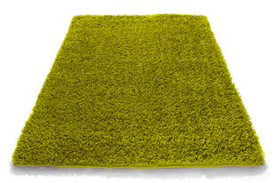 Kilimas Shaggy Green, 120x170 cm kaina ir informacija | Kilimai | pigu.lt