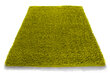 Kilimas Shaggy Green, 160x220 cm kaina ir informacija | Kilimai | pigu.lt