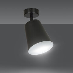Потолочная лампа Emibig PRISM 1 BLACK цена и информация | Потолочные светильники | pigu.lt