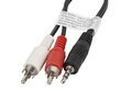 Lanberg, MiniJack 3.5 mm - 2 x RCA, 0.2 m kaina ir informacija | Kabeliai ir laidai | pigu.lt