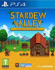 Stardew Valley Collector's Edition цена и информация | Компьютерные игры | pigu.lt