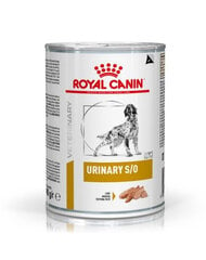 Royal Canin Dog Urinary, 6x410 g kaina ir informacija | Konservai šunims | pigu.lt