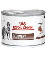 Royal Canin Vet Dog/Cat recovery, 195 g kaina ir informacija | Konservai šunims | pigu.lt