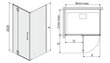 Kampinė dušo kabina Sanplast Space Line KNDJ2L/Space 80x110s, L kaina ir informacija | Dušo kabinos | pigu.lt