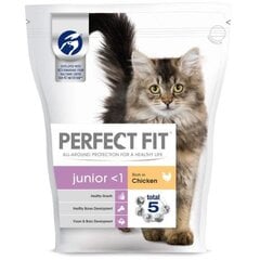 Sausas kačių ėdalas PERFECT FIT, Junior, su vištiena 750g kaina ir informacija | Sausas maistas katėms | pigu.lt