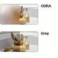 Vonios sienelė Sanplast TX SSO-W/TX5b 75s, profilis matinis graphit, dekoruotas stiklas Cora kaina ir informacija | Priedai vonioms, dušo kabinoms | pigu.lt