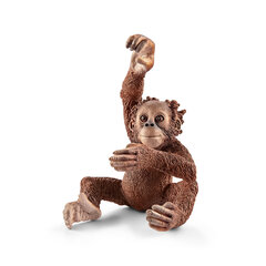 Фигурка детеныша Орангутанга Schleich Wild Life цена и информация | Игрушки для мальчиков | pigu.lt
