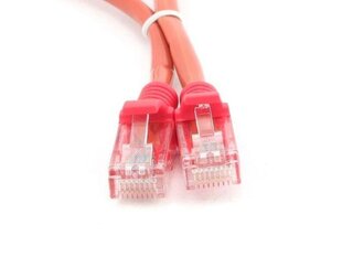 Gembird CAT 5E, RJ45 1 м цена и информация | Кабели и провода | pigu.lt