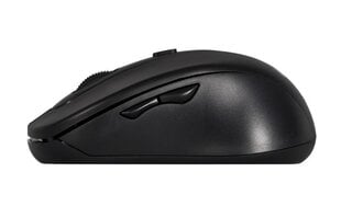 Activejet AMY-213 wireless optical USB mouse цена и информация | Active Jet Компьютерная техника | pigu.lt