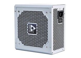 Chieftec GPC-500S цена и информация | Блоки питания (PSU) | pigu.lt