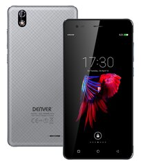 Denver SDQ-55024L, серый цена и информация | Мобильные телефоны | pigu.lt