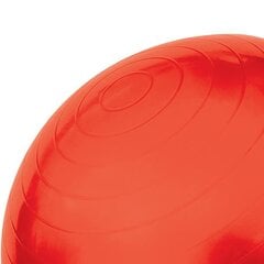 Гимнастический мяч HMS YB01 65 см с насосом, розовый цена и информация | Гимнастические мячи | pigu.lt