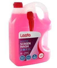 Жидкость для омывания стекла Lesta 2in1 -21°C, 4 л цена и информация | Lesta Спорт, досуг, туризм | pigu.lt