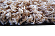Kilimas Shaggy Long 03 Brown, 160x220 cm kaina ir informacija | Kilimai | pigu.lt