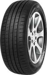 Minerva F209 205/55R16 91 H цена и информация | Летняя резина | pigu.lt