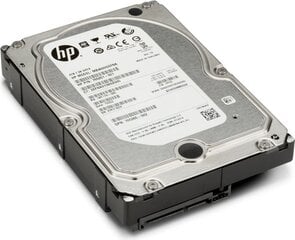 HP K4T76AA цена и информация | Внутренние жёсткие диски (HDD, SSD, Hybrid) | pigu.lt