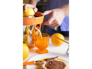 ViceVersa Tix Citrus Juicer orange 16622 цена и информация | Соковыжималки | pigu.lt