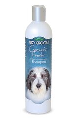 Bio Groom šampūnas Groom'n Fresh, 355 ml цена и информация | Косметические средства для животных | pigu.lt