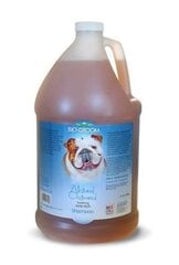 Bio Groom šampūnas Natural Oatmeal, 3.8 l kaina ir informacija | Kosmetinės priemonės gyvūnams | pigu.lt