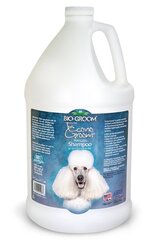 Bio Groom šampūnas Econogroom, 3,8 l kaina ir informacija | Bio Groom Gyvūnų prekės | pigu.lt