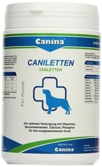 Canina tabletės Canilleten N500, 1000 g kaina ir informacija | Vitaminai, papildai, antiparazitinės priemonės šunims | pigu.lt