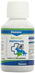 Canina Petvital Energy Gel, 100 мл цена и информация | Витамины, добавки, средства от паразитов для собак | pigu.lt