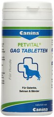 Canina tabletės Petvital GAG N90 kaina ir informacija | Vitaminai, papildai, antiparazitinės priemonės šunims | pigu.lt