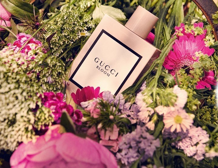 Gucci Gucci Bloom - EDP 50 ml + body lotion 100 ml kaina ir informacija | Kvepalai moterims | pigu.lt