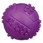 Trixie cypsintis kamuoliukas, 6 cm цена и информация | Žaislai šunims | pigu.lt