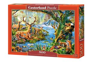 Dėlionė Castorland Puzzle Forest Life, 500 d. kaina ir informacija | Dėlionės (puzzle) | pigu.lt