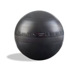 Гимнастический мяч с насосом Pure 65 см цена и информация | Гимнастические мячи | pigu.lt