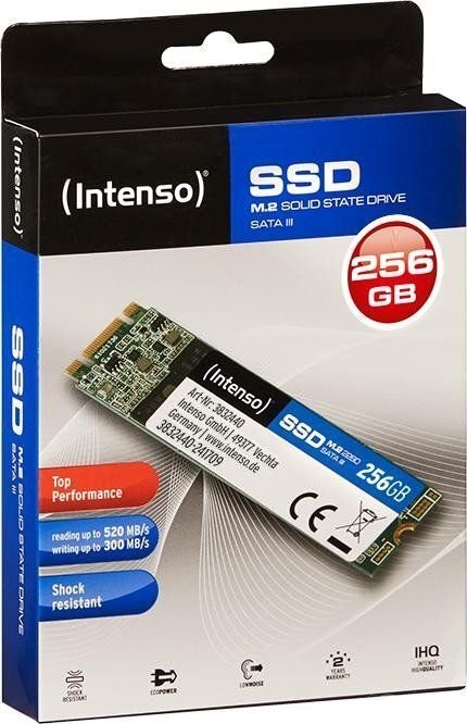 Intenso TOP 256GB SATA3 (3832440) цена и информация | Vidiniai kietieji diskai (HDD, SSD, Hybrid) | pigu.lt