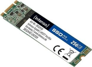 Intenso TOP 256GB SATA3 (3832440) цена и информация | Intenso Компьютерная техника | pigu.lt